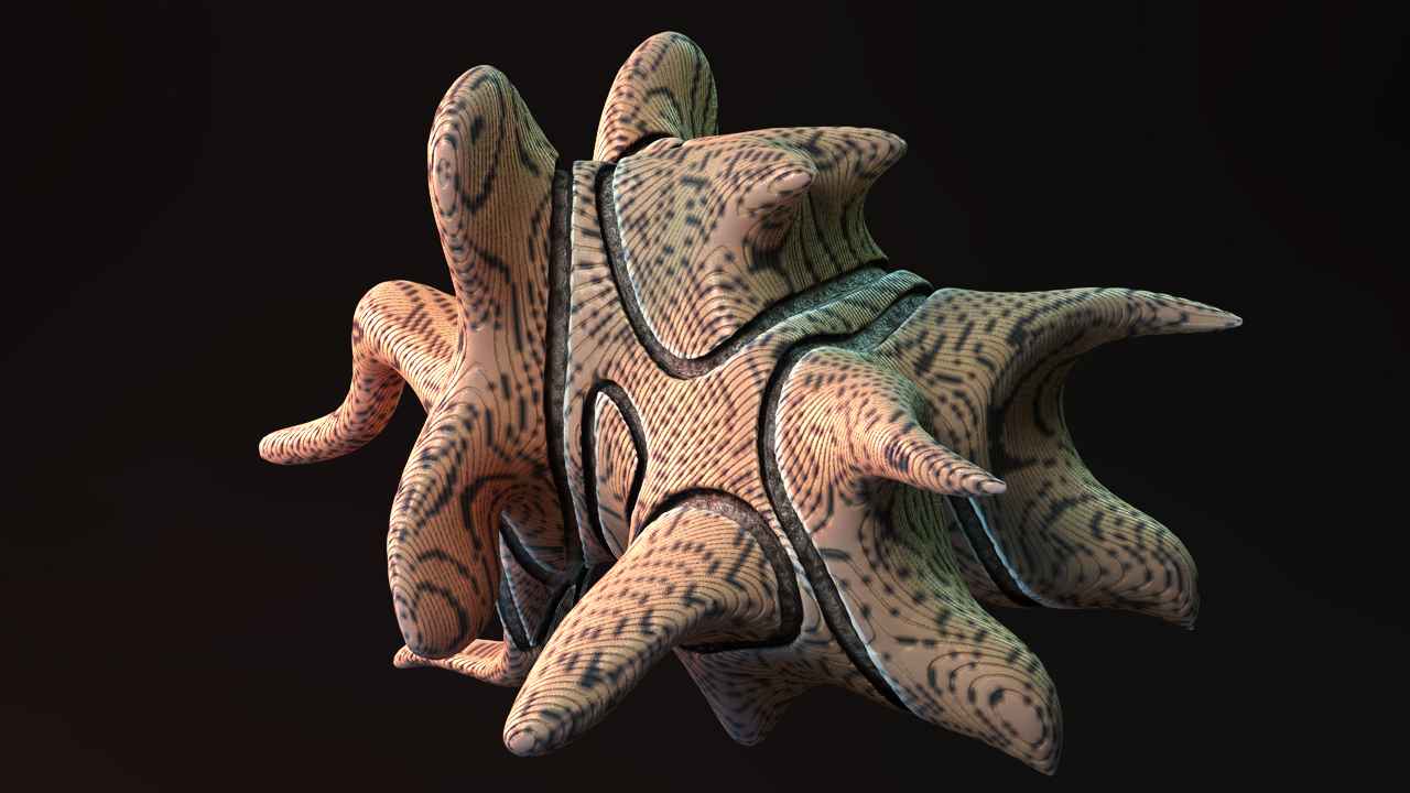 Zbrush - Images 3D - Polyloop